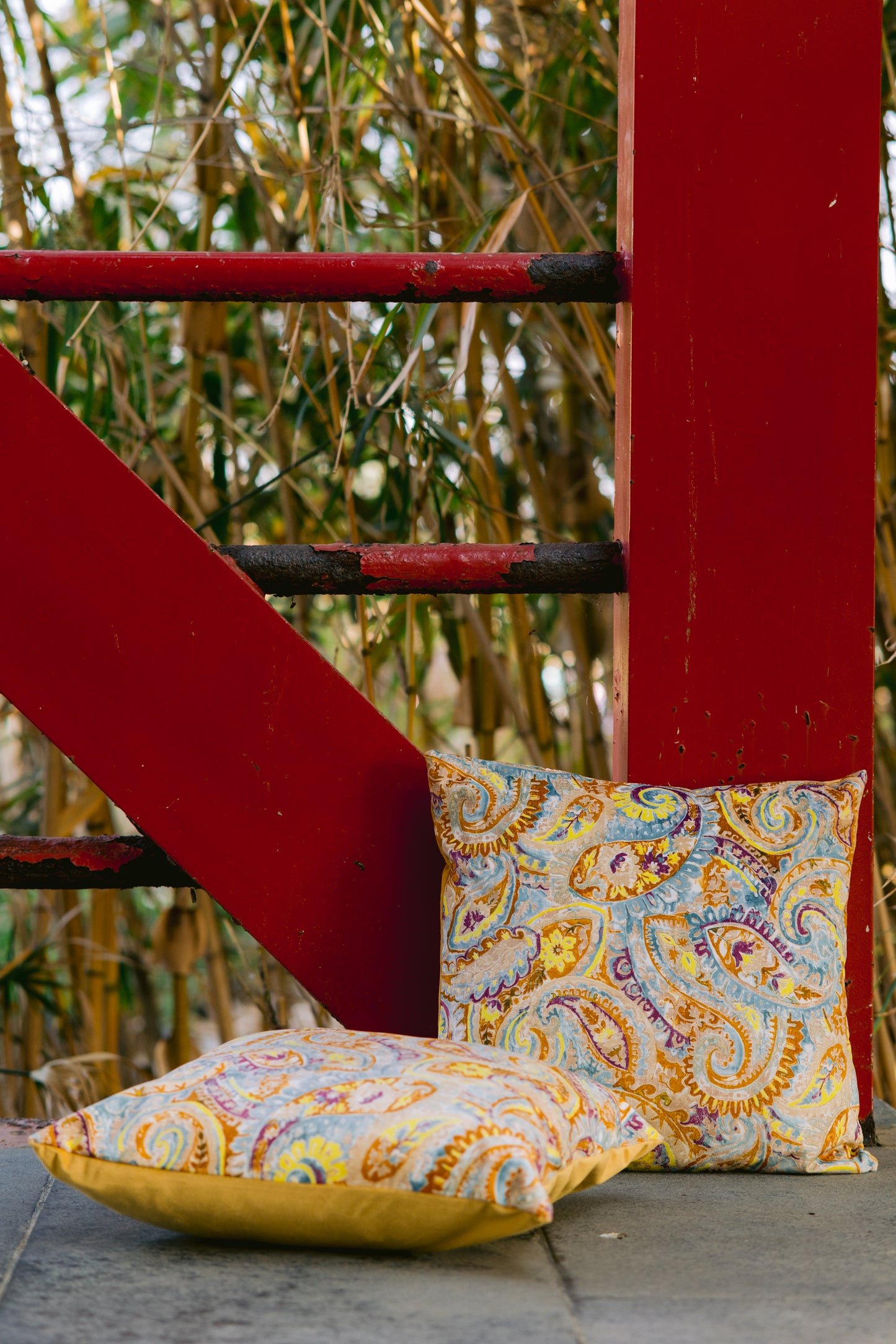 Bohemian Paisley