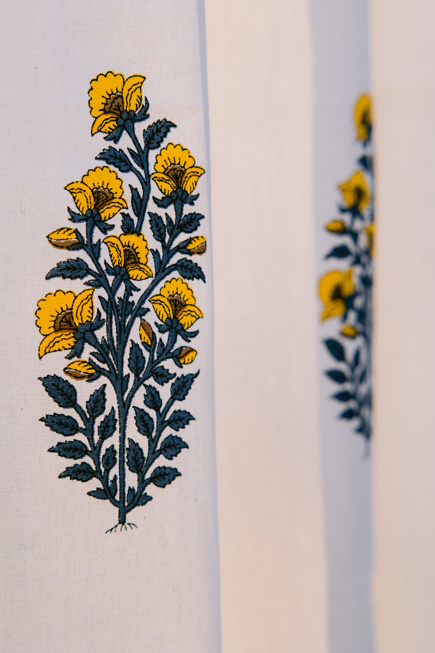 Daffodil