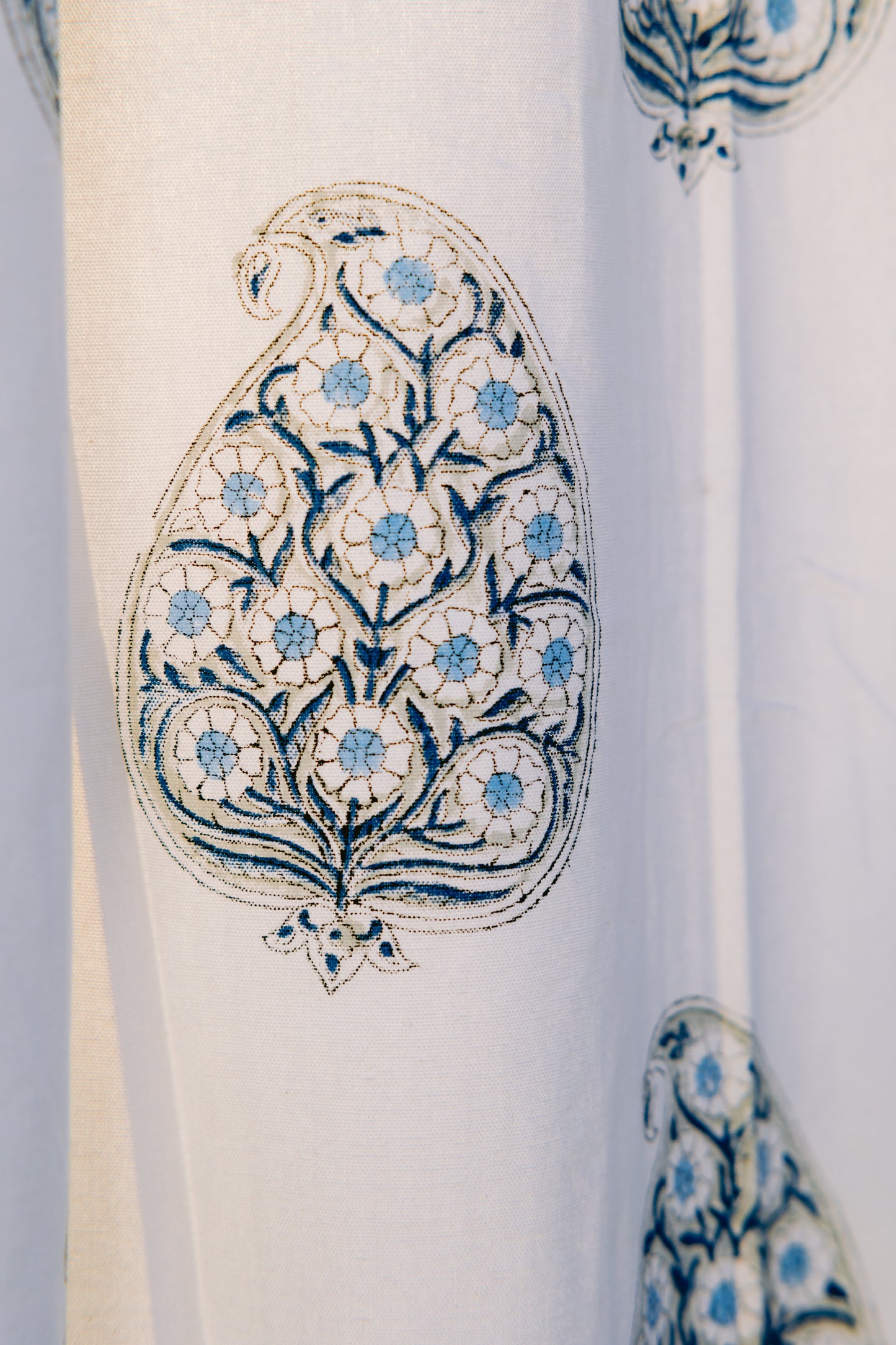 Blue Primrose leaf